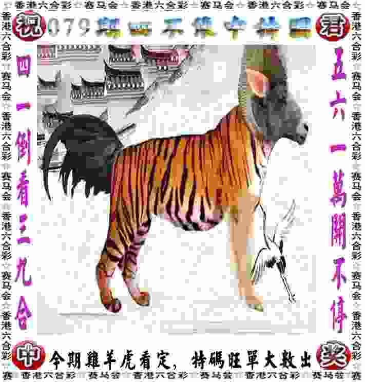 萨米尔·萨乌德当选巴西足协主席